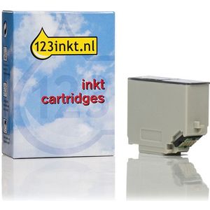 Epson 202XL (T02H1) inktcartridge foto zwart hoge capaciteit (123inkt huismerk)