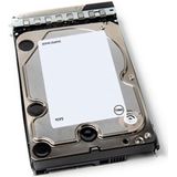 DELL 401-ABHY interne harde schijf 3.5" 12 TB SATA III