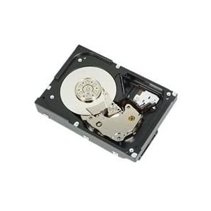 DELL 400-AUTM interne harde schijf 3.5" 12 TB SATA III