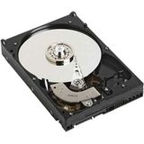 Dell - NPOS - Harde Schijf - 3,5" - 1 TB - 7200 rpm - SATA Verbinding