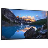 DELL UltraSharp U2424H_WOST computer monitor 60,5 cm (23.8") 1920 x 1080 Pixels Full HD LCD Zwart, Zilver