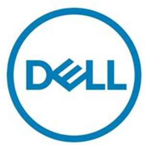 Dell 161-BBRX interne harde schijf 3.5 inch 8 TB SAS