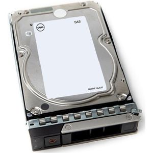DELL 161-BBSO interne harde schijf 3.5" 8 TB SAS