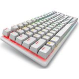 Alienware Pro Wireless Gaming Keyboard toetsenbord Gamen USB + RF Wireless + Bluetooth Wit