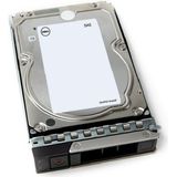 DELL 161-BCJX interne harde schijf 12 TB 7200 RPM 3.5" NL-SAS