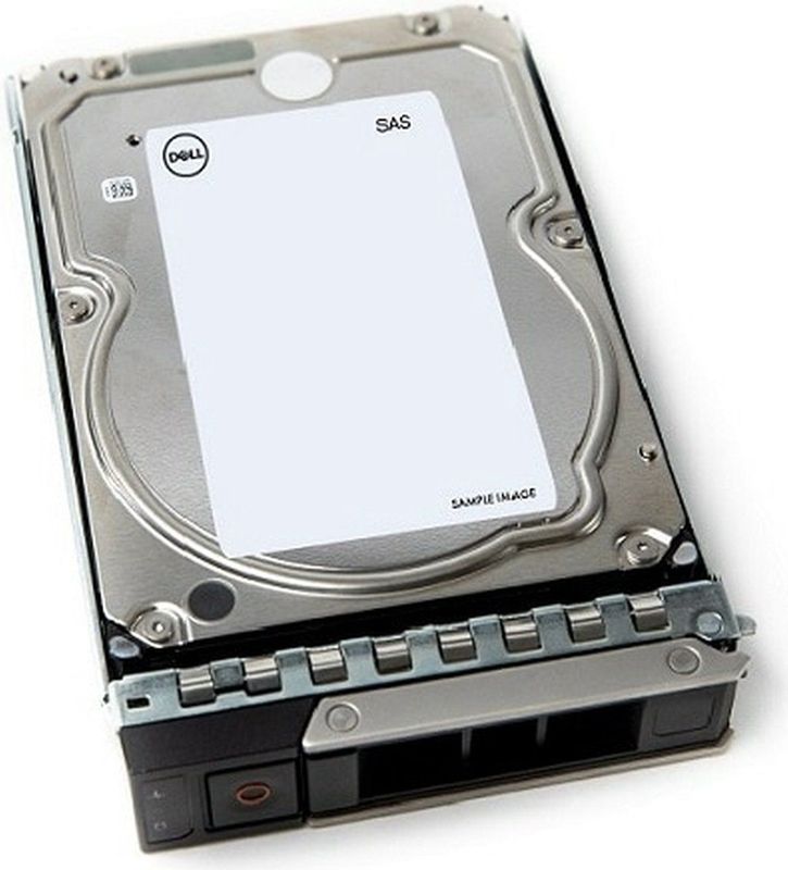 DELL 161-BCJX interne harde schijf 12 TB 7200 RPM 3.5" NL-SAS