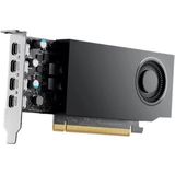 DELL - NVIDIA RTX A1000 - Videokaart - 8 GB GDDR6