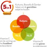 Metagenics Curcudyn forte NF 90 capsules