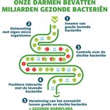 Metagenics Bactiol junior chew 60 kauwtabletten