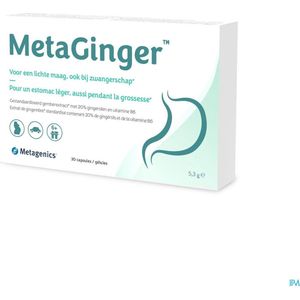Metaginger