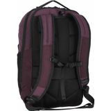 Samsonite Laptoprugzak - Dye-Namic Backpack L 17.3 inch - Grape Purple