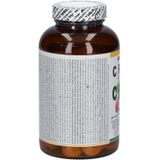 Altisa - Acerola Vitamine C - Kauwtabletten - 100 Stuks