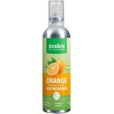 Purasana Frishi Luchtverfrisser Orange 100 ml