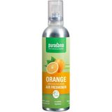 Purasana Frishi Luchtverfrisser Orange 100 ml