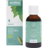 Purasana Puragem Sinus Bio 50 ml