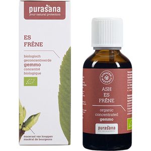 Purasana Puragem Es Druppels - Gemmotherapie - 50 ml