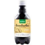 Purasana Komboecha Drink Fresh Gember Bio 330 ml