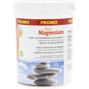 Fytostar Magnesium chew kauwtabletten 120 kauwtabletten