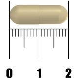 Fytostar Cholesterol - Supplement - Geurloze zwarte look extract – Clean label - Vegan - 30 capsules