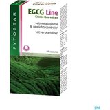 Fytostar EGCG Line - Afslanksupplement - Vetverbranding - Voedingssupplement - 60 capsules