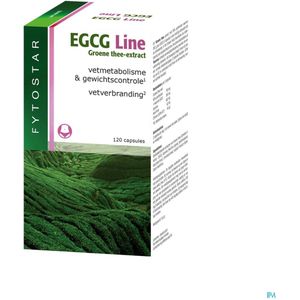 Fytostar EGCG Line - Afslanksupplement - Vetverbranding - Voedingssupplement – 120 capsules