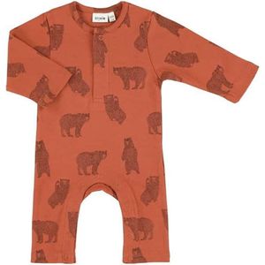 Trixie - Brave Bear - Onesie - Kleur: Grijs - Materiaal: Katoen