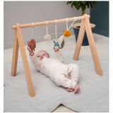 Trixie Babygym