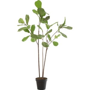 J-Line Vioolbladplant In Pot Plastiek Donker Groen