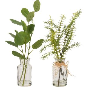 J-LINE - Eucalyptus Takken - Glazen Vaasje - Groen - Twee Stuks