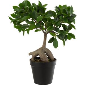 J-Line plant Chinese Vijg Ficus Boom In Pot - kunststof - groen/zwart - small