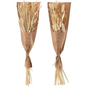 J-Line droogbloemen - Bundel gedroogde Avana gras - naturel - 2 stuks