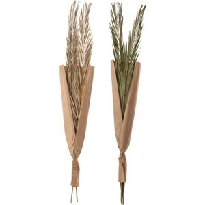 J-Line droogbloemen - Bladeren Khajur - groen - 2 stuks