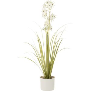 J-Line Allium In Pot Plastiek Groen|Wit Small