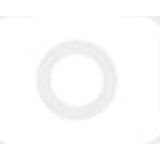 Lee - Working West Shirt - T-shirt - Ecru - Katoen