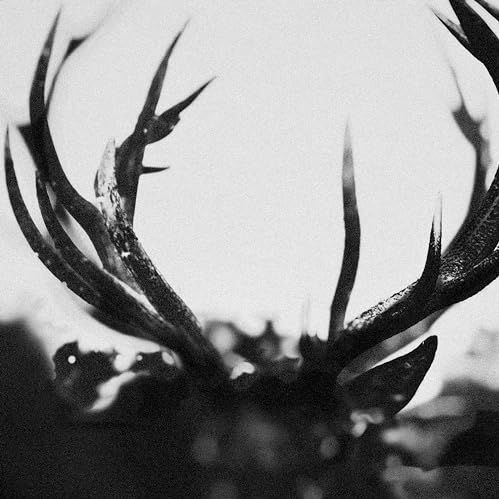 Ihsahn LP - standaard