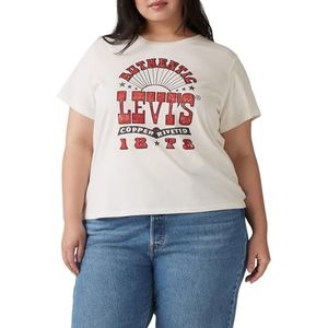 Levi's T-shirt Plus - Copper Riveted Rock Poster