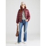 Levi's - A8320-0011 - Opvouwbaar Jasje - Groen - Casual - Polyamide