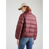 Levi's - A8320-0011 - Opvouwbaar Jasje - Groen - Casual - Polyamide