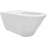 Sanifun Rimless hangtoilet Ster 530