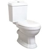 Sanifun toilet All In One Farao