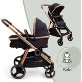 Baninni Duo Kinderwagen Luiz Rose Gold