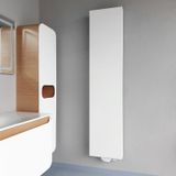 BELRAD VLAKKE VERTICALE DESIGNRADIATOR EN T20 2000X500-1317W