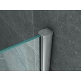 Aloni Inloopdouchewand Melkglass 8mm 80x200cm