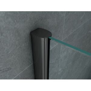 Aloni - Duschkabine Schiebetür schwarz matt 8mm 90x160x195cm