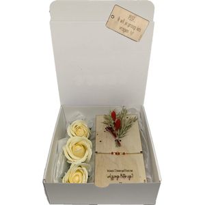 Geschenkbox liefste METER | beige | VAASJE | liefste meter | meter vragen | meter worden | peettante vragen | peettante worden | cadeau | geschenkdoos | giftbox