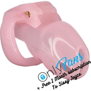 The Sissy Trainer - Pink - Locked Life Chastity cage - Penis kooi - Kuisheidsgordel - Small