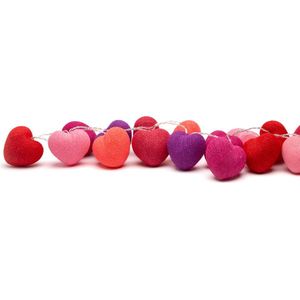 Happy Lights hartjesslinger Wild Berry - 20 LED USB