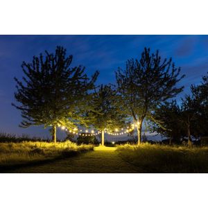 HappyLights lichtsnoer buiten [Outdoor] Clear warm - 20 LED's - 10m