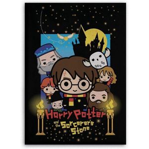 Harry Potter Fleecedeken - AYM-007HP-PF