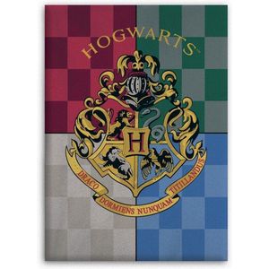 Harry Potter Fleecedeken Hogwarts Junior 110 X 140 Cm